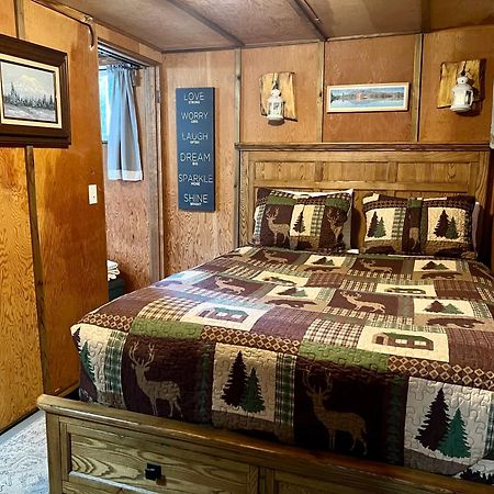 Mt Rainier Little Green Cabin On Big Creek! Ashford Zewnętrze zdjęcie
