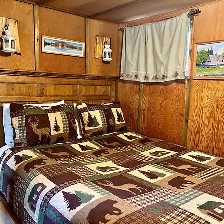 Mt Rainier Little Green Cabin On Big Creek! Ashford Zewnętrze zdjęcie
