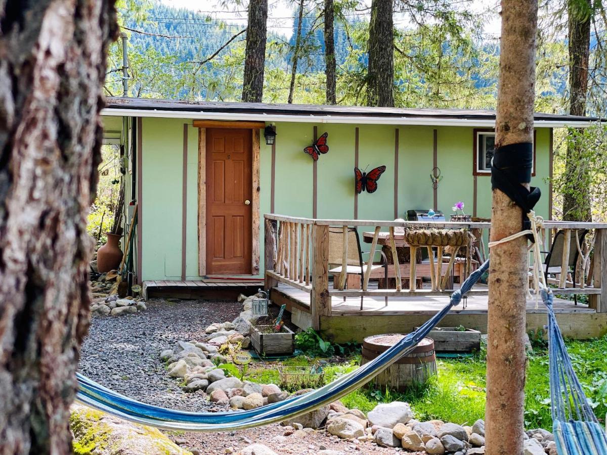 Mt Rainier Little Green Cabin On Big Creek! Ashford Zewnętrze zdjęcie