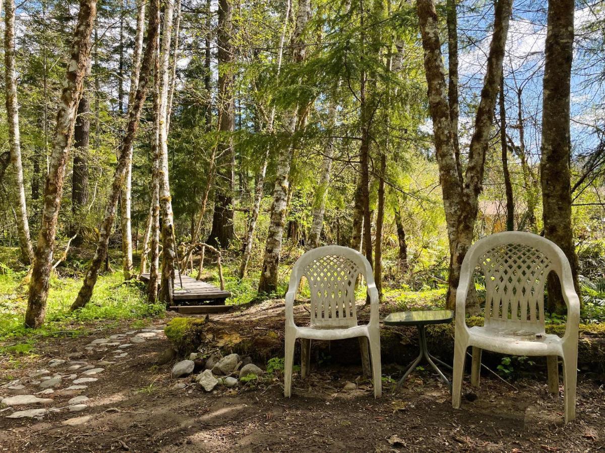 Mt Rainier Little Green Cabin On Big Creek! Ashford Zewnętrze zdjęcie