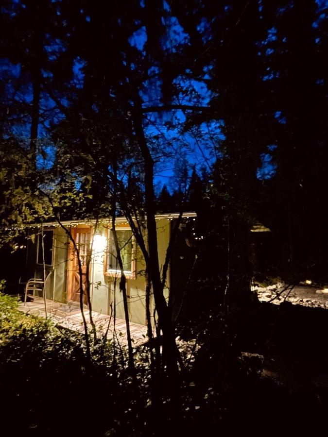 Mt Rainier Little Green Cabin On Big Creek! Ashford Zewnętrze zdjęcie
