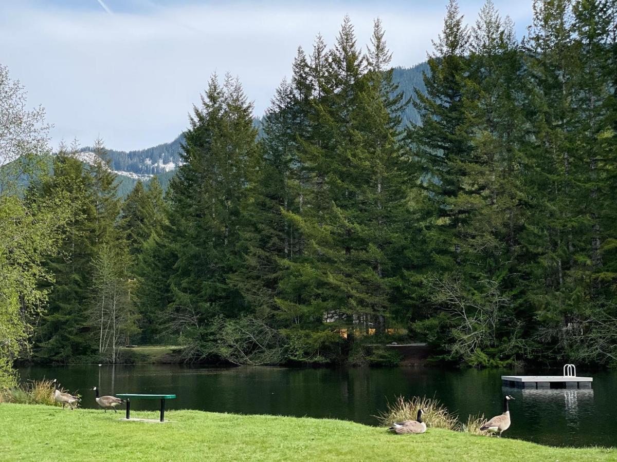 Mt Rainier Little Green Cabin On Big Creek! Ashford Zewnętrze zdjęcie