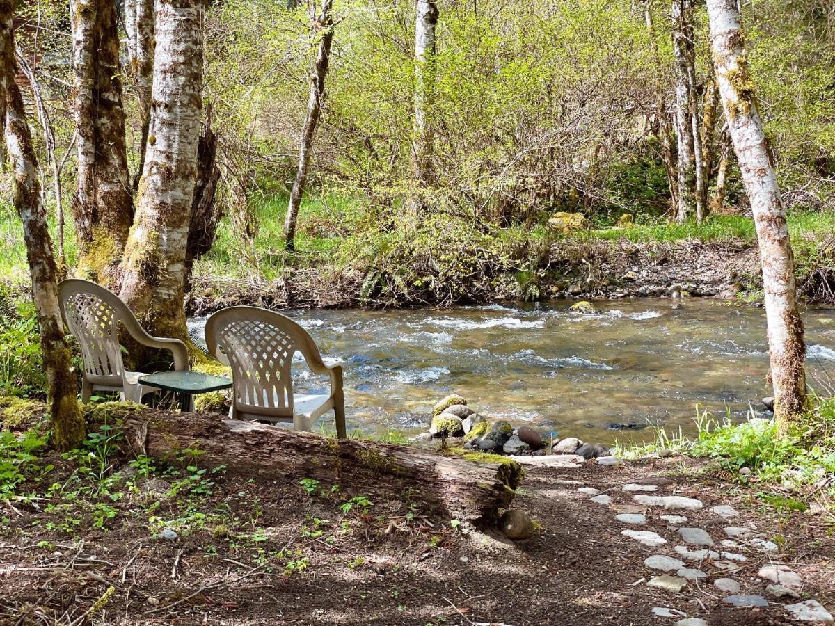 Mt Rainier Little Green Cabin On Big Creek! Ashford Zewnętrze zdjęcie