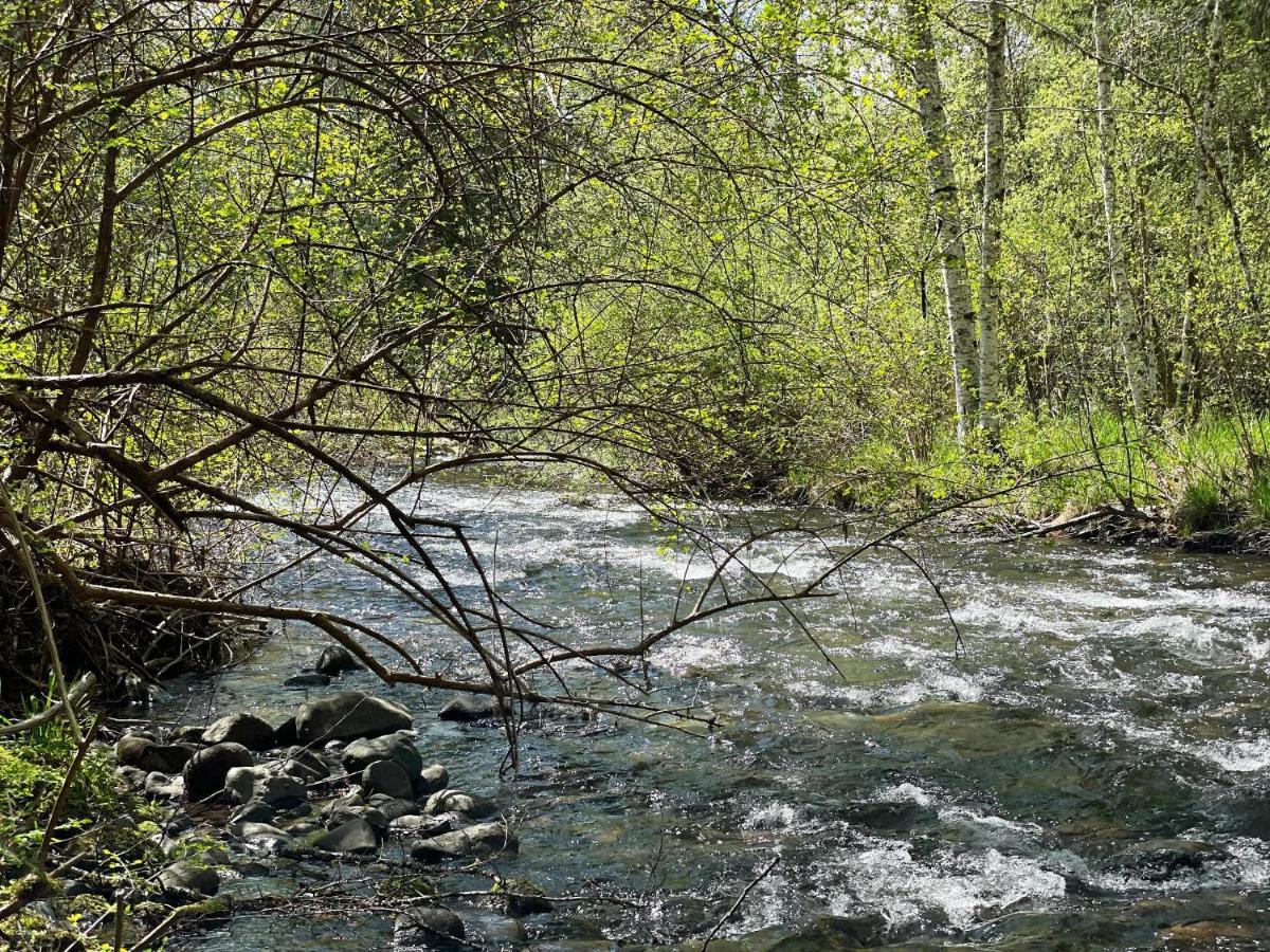 Mt Rainier Little Green Cabin On Big Creek! Ashford Zewnętrze zdjęcie
