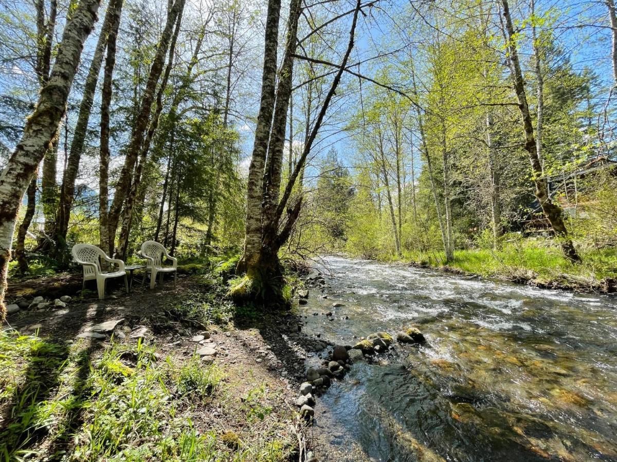 Mt Rainier Little Green Cabin On Big Creek! Ashford Zewnętrze zdjęcie