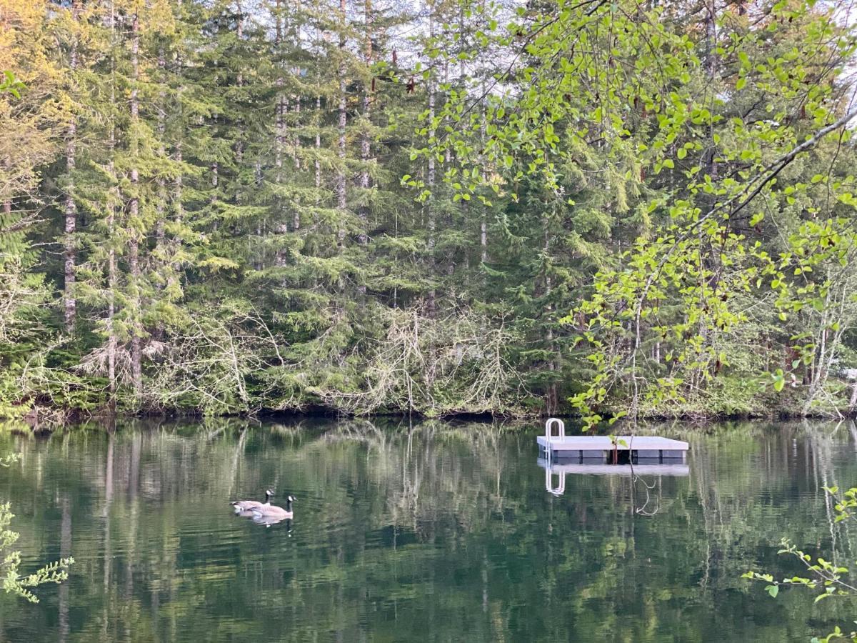 Mt Rainier Little Green Cabin On Big Creek! Ashford Zewnętrze zdjęcie
